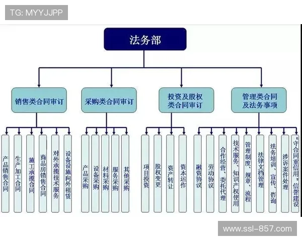 拳击经纪人资格考试制度修订,加强合同合规性管理