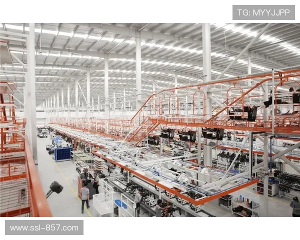 传统体育制造企业通过智能化改造实现产能与能效双提升