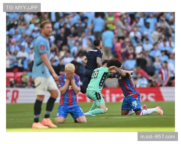 狼队0-2不敌水晶宫，主场连胜势头被终结