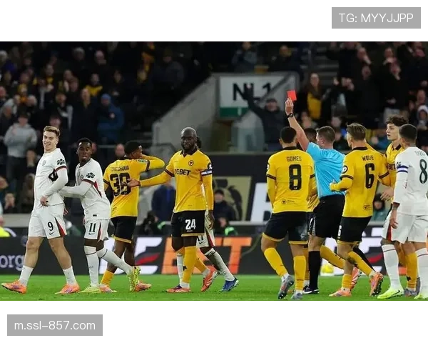 球迷抗议切尔西资本干预，传统与商业冲突