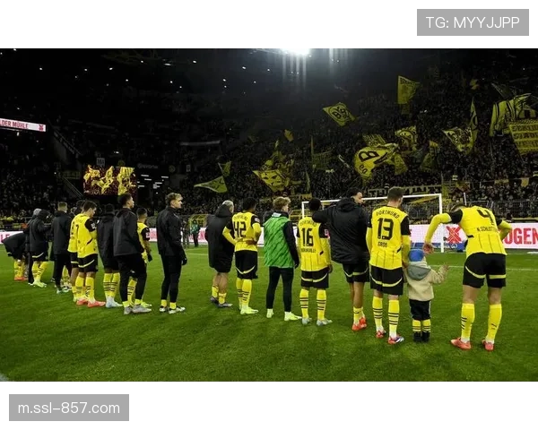 多特蒙德主场完胜,德甲球队欧冠表现回暖 多特蒙德主场完胜,德甲球队欧冠表现回暖